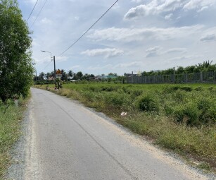 Cần bán đất thổ vườn tại xã Nhựt Chánh, huyện Bến Lức, tỉnh Long An