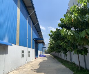 Cần cho thuê dài hạn kho xưởng tiêu chuẩn tại KCN Tân Bình, huyện Bắc Tân Uyên, tỉnh Bình Dương