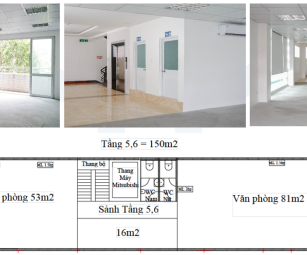 Cần cho thuê văn phòng toà nhà nằm trên đường Phạm Ngọc Thạch, P. Võ Thị Sáu, Quận 3, TP.HCM