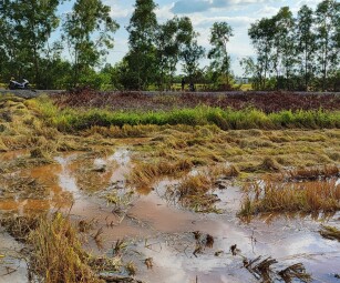 Bán 6 lô đất nền mặt tiền đường kênh Lò Rèn, huyện Cần Giuộc, tỉnh Long An