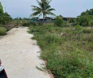 Còn sót lại 2 lô đất nền giá tốt cho các nhà đầu tư tại ấp Lộc Hậu, huyện Cần Giuộc