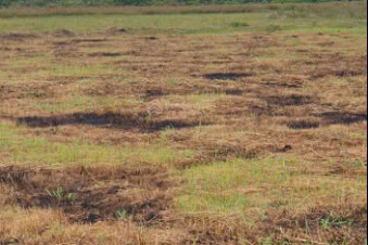 Bán Đất Giá Tốt – Đường Liên Cảng, Xã Phú Hữu, Huyện Nhơn Trạch, Đồng Nai
