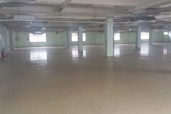 Cho Thuê Nhà Xưởng Cao Cấp Tại Khu Chế Xuất Tân Thuận, Quận 7, Tp. Hcm
