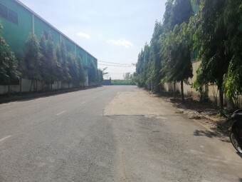 Cần cho thuê dài hạn nhà xưởng trong KCN Vinatex-Tân Tạo, huyện Nhơn Trạch, tỉnh Đồng Nai