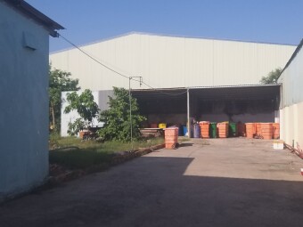 Cho thuê xưởng có kho lạnh thích hợp ngành thực phẩm tại ĐT 826, huyện Cần Đước