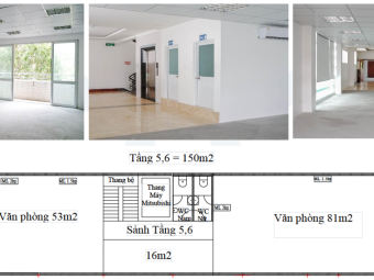 Cần cho thuê văn phòng toà nhà nằm trên đường Phạm Ngọc Thạch, P. Võ Thị Sáu, Quận 3, TP.HCM