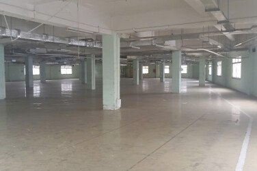 Cho Thuê Nhà Xưởng Cao Cấp Tại Khu Chế Xuất Tân Thuận, Quận 7, Tp. Hcm