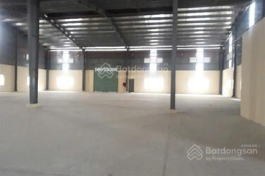Siêu Phẩm Nhà Xưởng 2Ha Tại Kcn Tân Đô – Long An Full Công Năng – Đã Có Văn Phòng & Ký Túc Xá – Giá Bán: 155 Tỷ