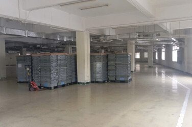 Cho Thuê Nhà Xưởng Cao Cấp Tại Khu Chế Xuất Tân Thuận, Quận 7, Tp. Hcm