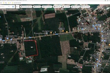 Bán Đất Đường Trừ Văn Thố – Xã Trừ Văn Thố, Bàu Bàng, Bình Dương