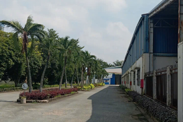 Khám Phá Không Gian Lý Tưởng Để Hiện Thực Hóa Giấc Mơ Kinh Doanh Của Bạn Tại Nhà Xưởng Bình An, Bến Lức – Nơi Mọi Ý Tưởng Đều Có Thể Bay Xa.