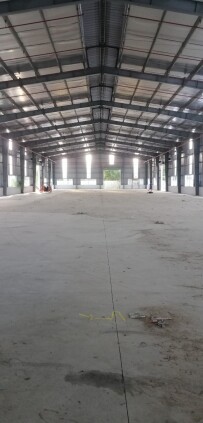 Kho xưởng mới xây tiêu chuẩn cho thuê trong KCN Phú An Thạnh, huyện Bến Lức, tỉnh Long An