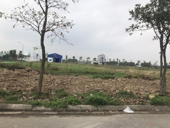 Cho thuê 20.000m2 đất có giấy phép đầy đủ mặt tiền đường container tại Đất Cuốc, huyện Bắc Tân Uyên, tỉnh Bình Dương