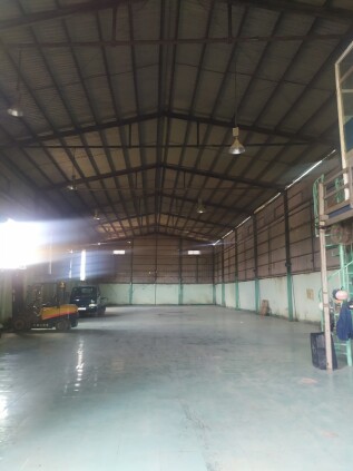 Cần cho thuê xưởng mặt tiền Quốc Lộ 50, xã Phong Phú, huyện Bình Chánh, TP.HCM