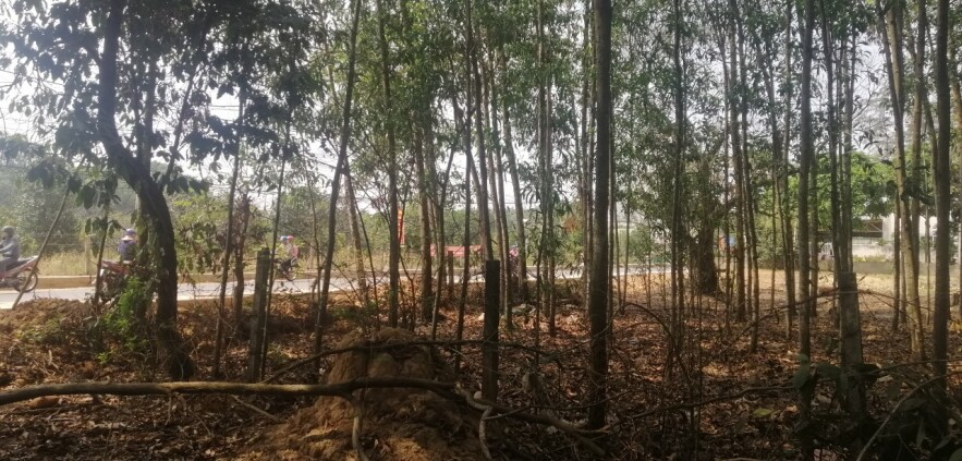Cần bán đất 13.000m2 tại đường Cây Dầu, ấp Phú Hội, xã Long Tân, huyện Nhơn Trạch, tỉnh Đồng Nai