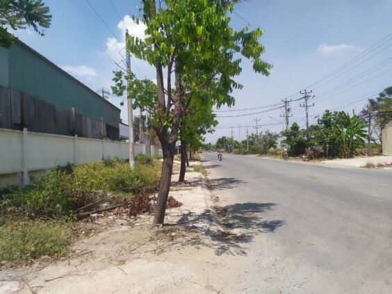 Cho thuê dài hạn kho mặt tiền Nguyễn Trung Trực, huyện Cần Đước, tỉnh Long An
