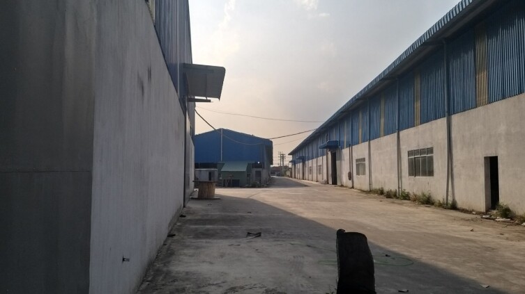 Cho thuê kho xưởng sản xuất mặt tiền ĐT 824 tại huyện Bến Lức, tỉnh Long An