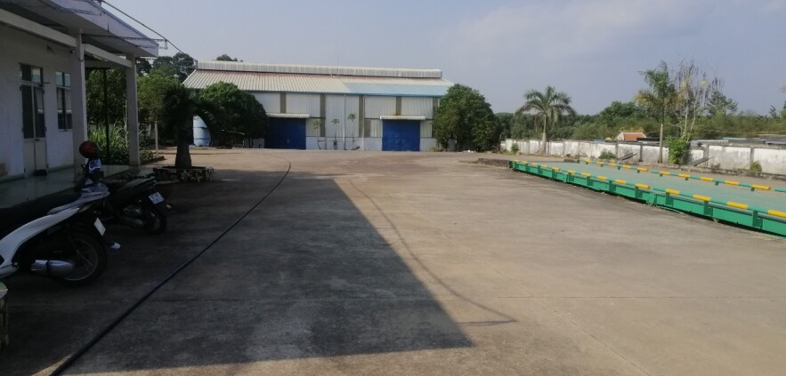 Cần cho thuê kho xưởng tại Phước Bình, Long Thành, tỉnh Đồng Nai