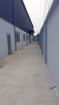Cho thuê kho xưởng mới xây mặt tiền ĐT 826, huyện Cần Đước, tỉnh Long An