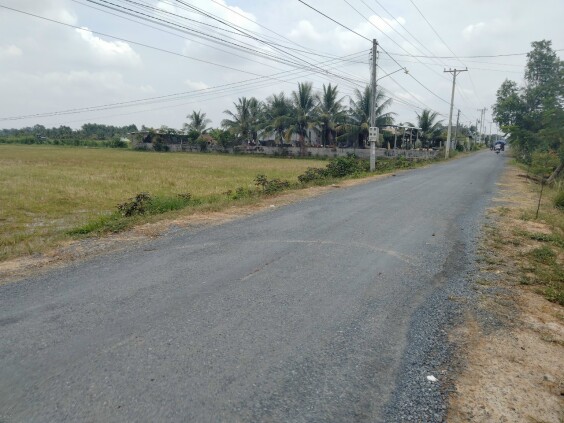 Cần bán đất mặt tiền đường thông tại xã Bình Hòa Bắc, huyện Đức Huệ