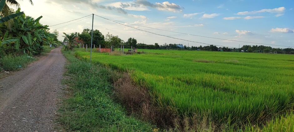 Cần bán lô đất mặt tiền đường kênh Đại Hội, huyện Cần Giuộc, tỉnh Long An