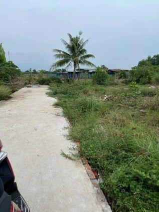 Còn sót lại 2 lô đất nền giá tốt cho các nhà đầu tư tại ấp Lộc Hậu, huyện Cần Giuộc