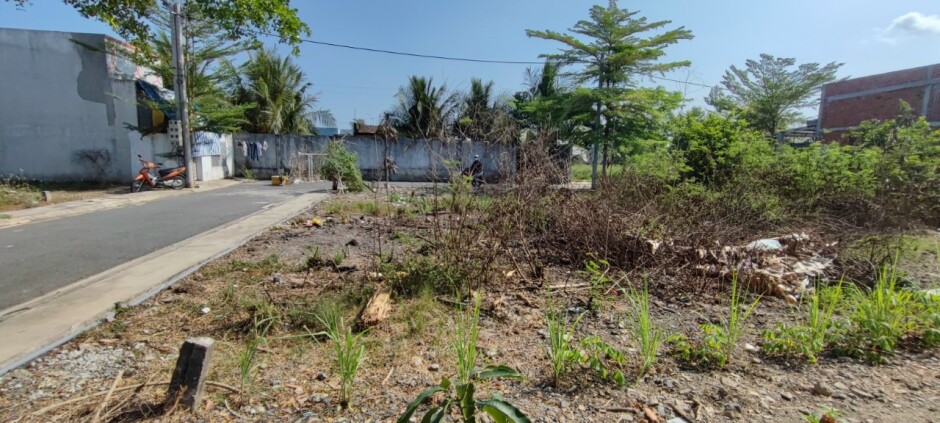 Bán đất góc hai mặt tiền đường thuộc ấp Phước Hưng 2, xã Phước Lâm, huyện Cần Giuộc, tỉnh Long An
