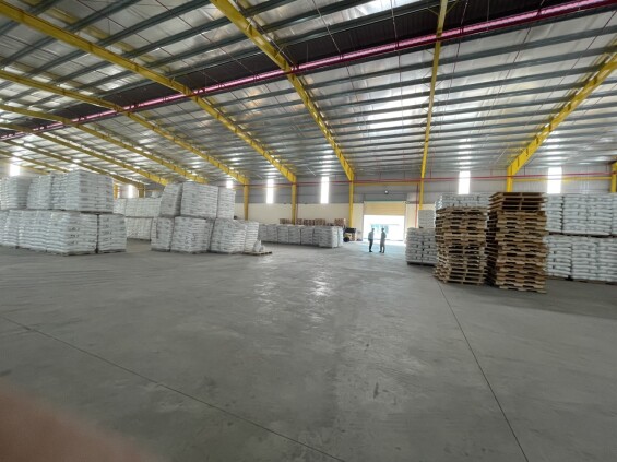 Cho thuê kho xưởng diện tích 3500m2 đến 7000m2 trong CCN Hải Sơn, huyện Đức Hoà, tỉnh Long An
