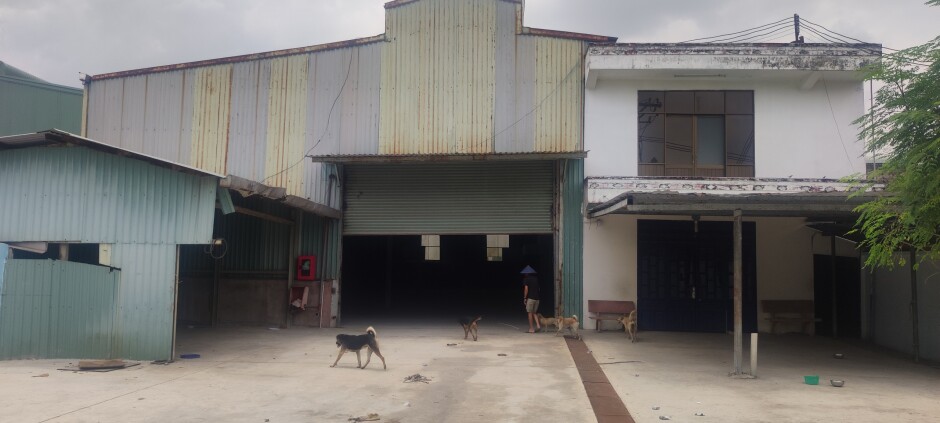 Cho thuê kho xưởng 1200m2 mặt tiền Kênh A, huyện Bình Chánh, TP.HCM